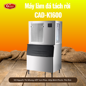 Máy Làm Đá Viên Tách Rời CAD-K1600